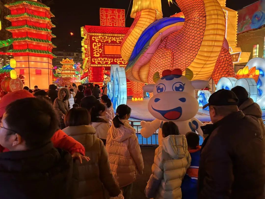 央視直播鄭州龍年燈會迎新春，花花牛品牌上大分
