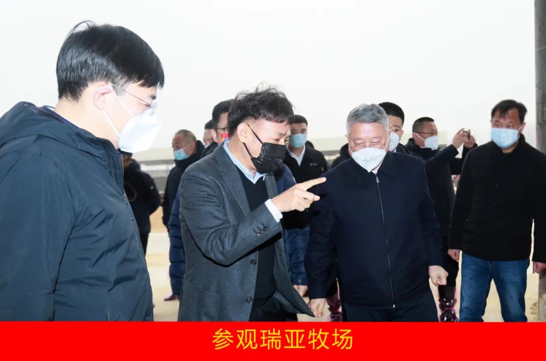 新年開(kāi)新局 合作促發(fā)展丨佳木斯市委常委、副市長(zhǎng)閆志剛一行蒞臨花花牛乳業(yè)集團(tuán)及佳田企業(yè)考察座談