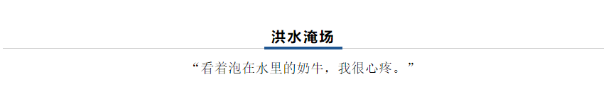 【乳報·聚焦】“豫”難而上的中原牛人“太中了”！