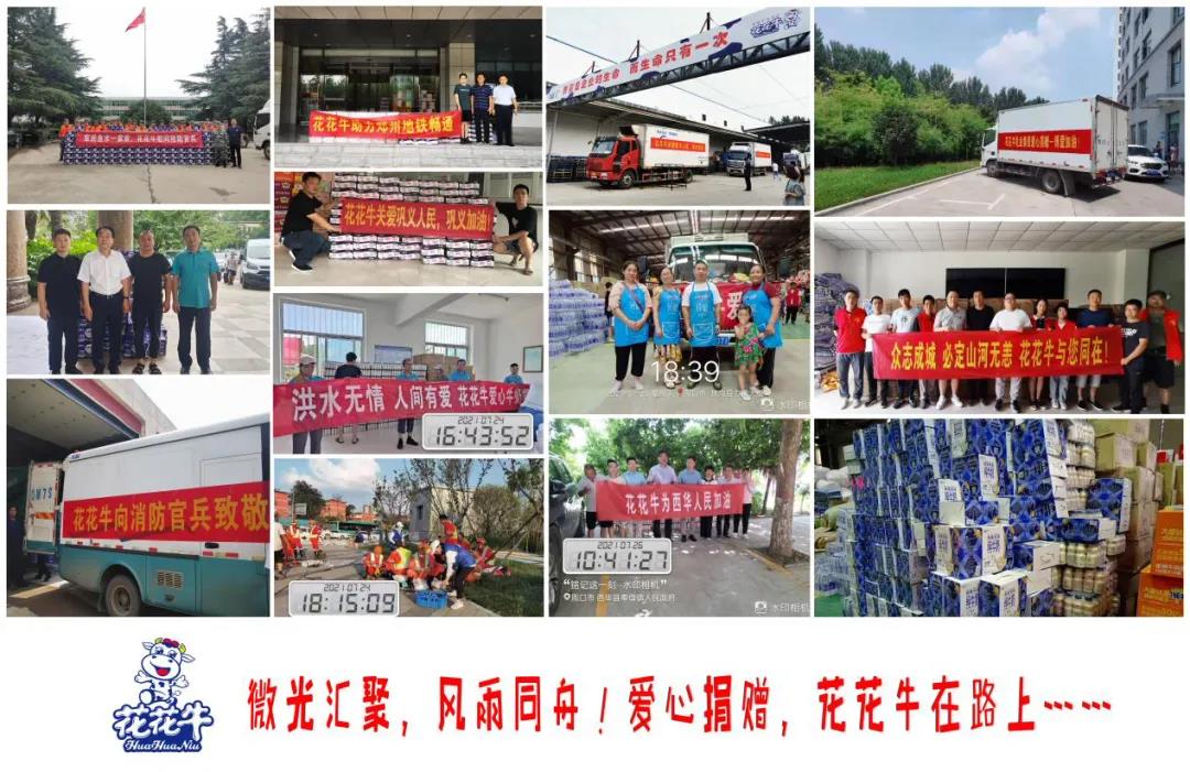 【乳報·聚焦】“豫”難而上的中原牛人“太中了”！