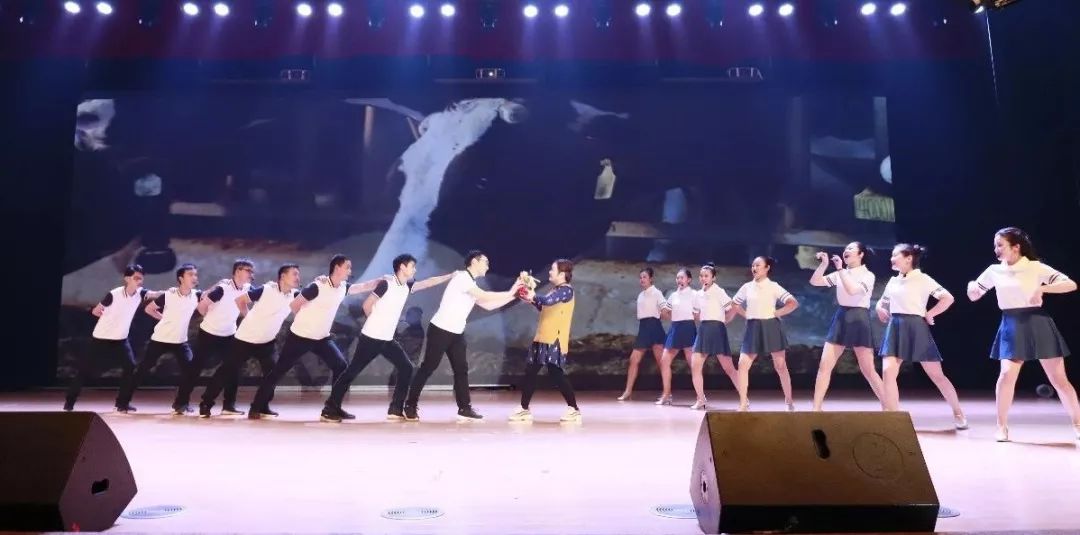 “贏在2019”，花花牛乳業(yè)集團2019年新春晚會盛大開幕