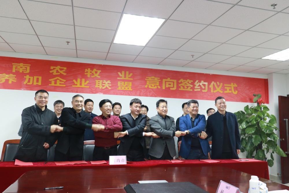 涉農(nóng)企業(yè)強強聯(lián)合，“抱團取暖”共迎企業(yè)發(fā)展的春天