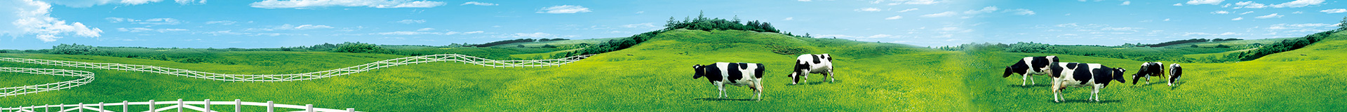 http://www.jisudown.cn/data/upload/202412/20241225200749_228.jpg