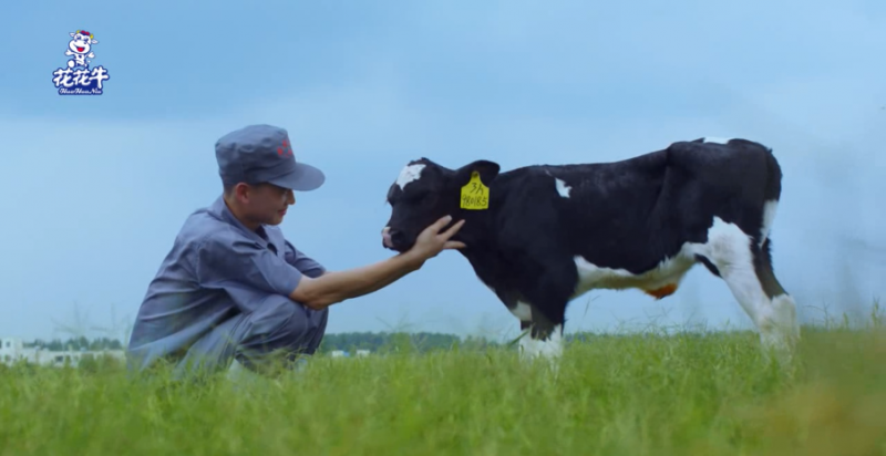 中國動物衛(wèi)生流調(diào)中心首席科學(xué)家范偉興一行蒞臨花花牛郟縣發(fā)展、魯山瑞亞參觀調(diào)研