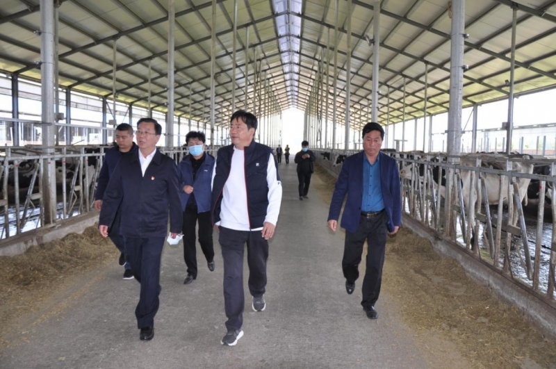 商丘市委常委、宣傳部部長王全周一行蒞臨睢縣瑞亞牧業(yè)有限公司調(diào)研