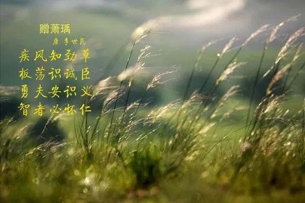 花花牛 | 疾風(fēng)來臨，你是不是勁草？