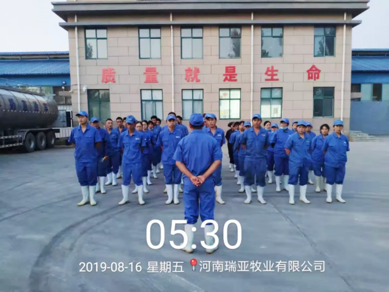 小晨會(huì)·大能量——砥礪奮進(jìn)的花花牛，加油！